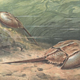 Image for article titled 12 of the most astounding 'living fossils' known to science